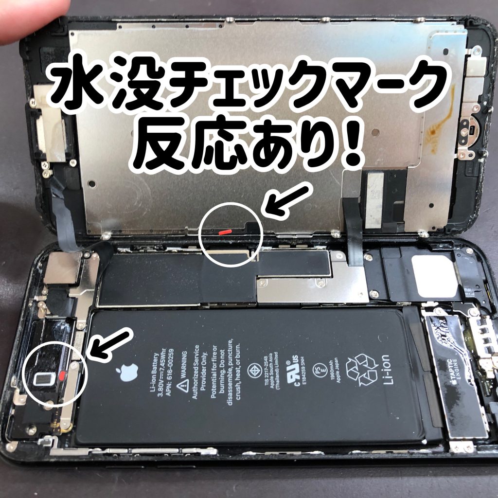 iPhoneの水没はどのように確認すればいいのか？解説！
