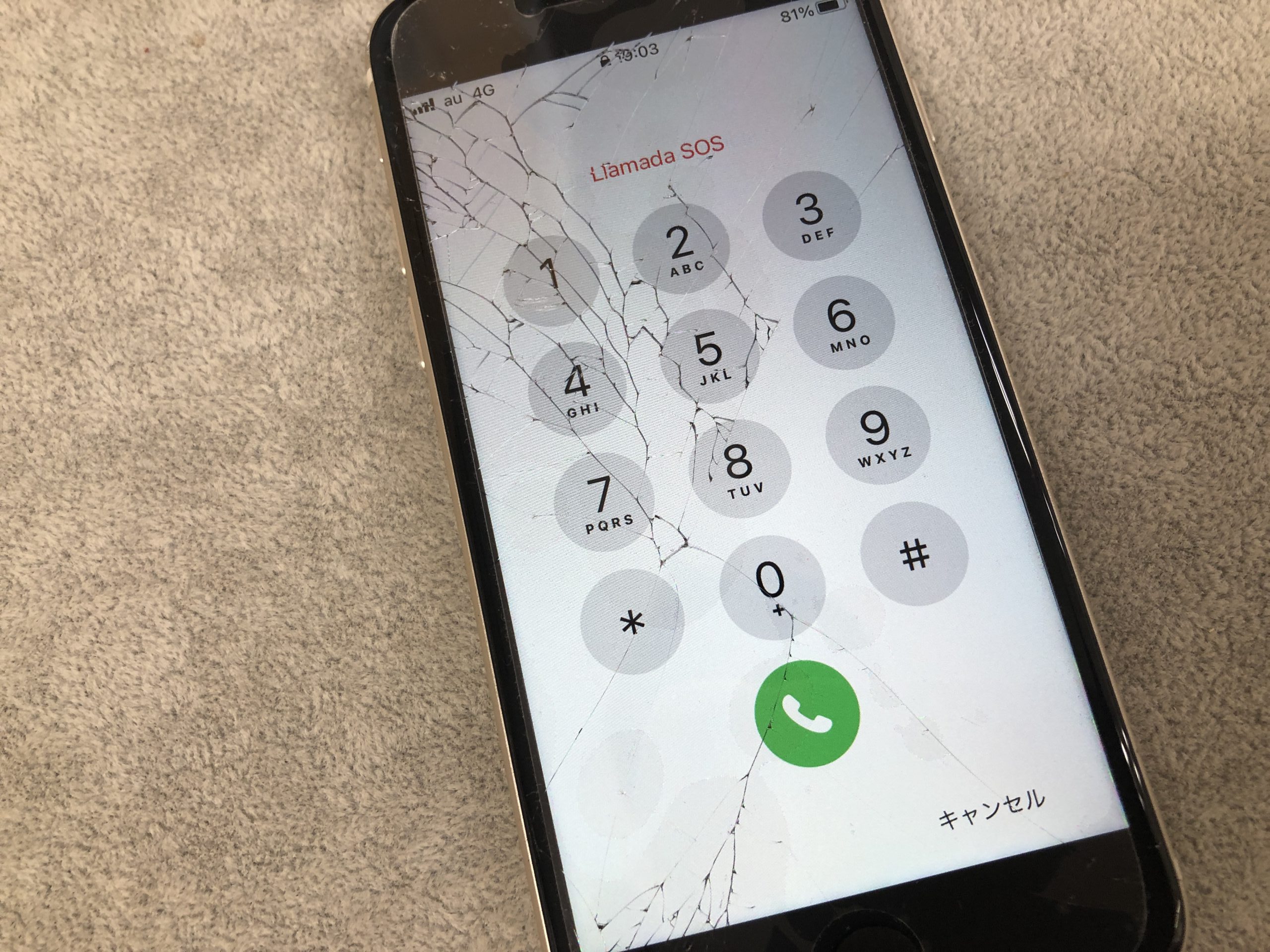 20220629_100354891_iOS-scaled-