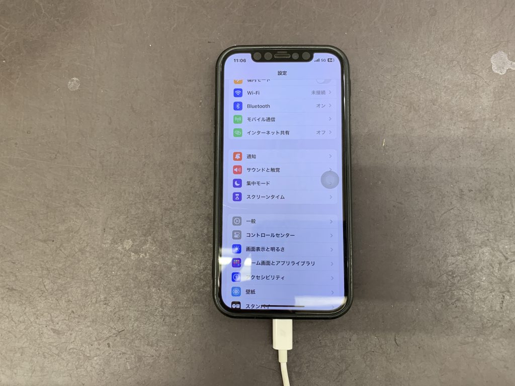 ☆ジャンク　iPhone12　充電・動作確認不可　完全部品取り用☆ ☆ジャンク iPhone12 充電・動作確認不可 完全部品取り用 ジャンク